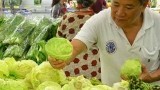 Các loại thực phẩm sát khuẩn