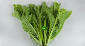 Cải Mèo