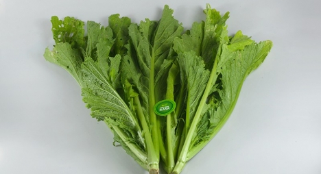 Cải Mèo